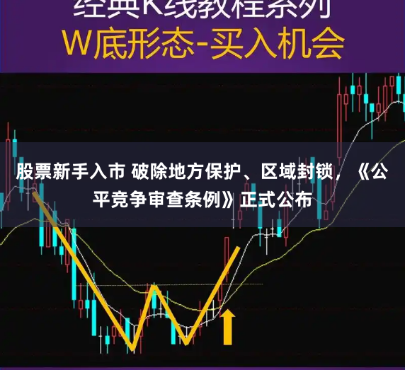 股票新手入市 破除地方保护、区域封锁，《公平竞争审查条例》正式公布